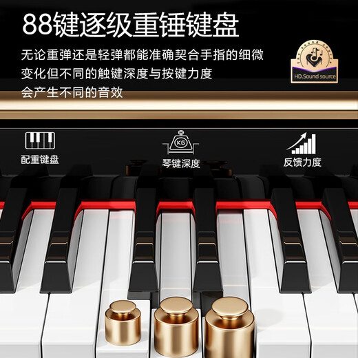 
RYEFIELD (RYEFIELD) Electric Piano 88 Key Heavy Hammer Beginner Professional Grading Piano Beginners Home Digital Electronic Piano Adult Performance Grade High Box RY688 Heavy Hammer Bottom-Wood Grain Black