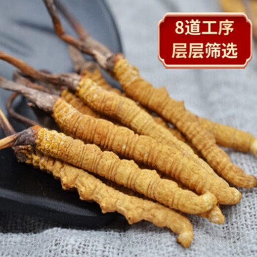 雄风道藏区雪域冬虫夏草 干货虫草礼盒装过年送礼冬虫草 3根/克  20克装