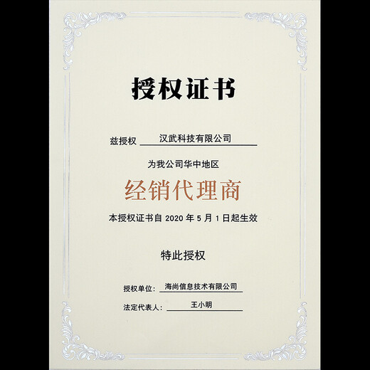 DSB（迪士比）企业定制荣誉证书内芯10张免费排版打印 简约花边A4烫金奖状纸聘书授权培训结业空白内芯 6627	