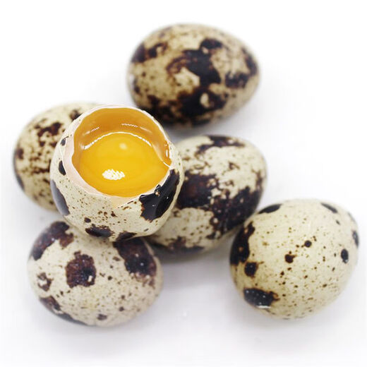 Du Fengnian Easter Eggs for Blessing, Antibiotic-Free Quail Eggs 24 pieces 220g Du Fengnian Easter Eggs for Blessing, Antibiotic-Free Quail Eggs 24 pieces 220g