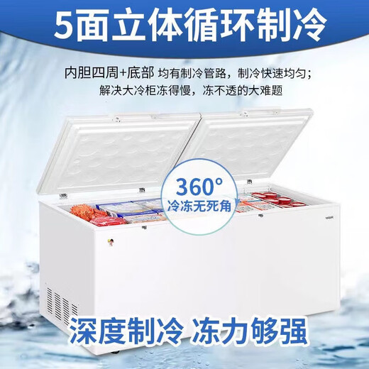 海尔（Haier）冰柜商用大容量500升以上电子控温双开门卧式冷冻柜转换单温冷柜带锁超低温深冷速冻茶叶海鲜雪柜 【商用推荐】-38℃超低温/钢板内胆/ 829L