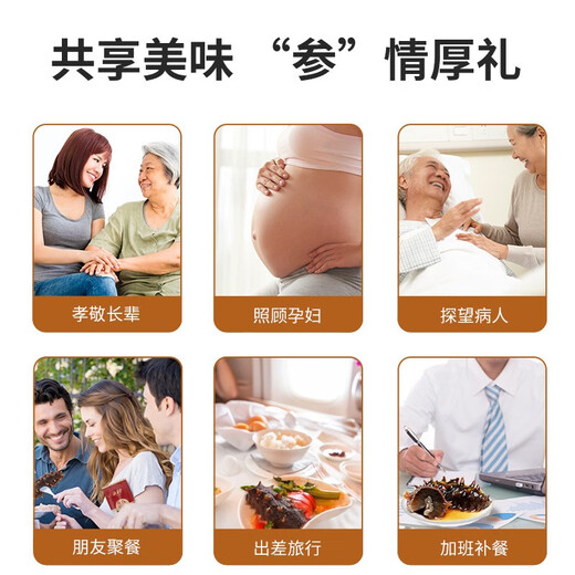 海晏堂【海鲜礼盒】大连冷冻即食海参 辽刺参 海鲜水产海参礼盒礼品 3200g（80g*40头）