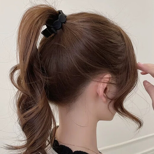 Chimera (CHIMERA) 2-piece set of simple hair clips, high ponytail fixing artifact, Internet celebrity shark hair clips, hair clips for the back of the head