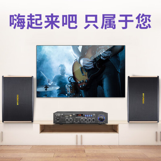 HYUNDAI modern 6.5-inch home theater KTV audio combination home Bluetooth amplifier karaoke conference audio home karaoke computer TV living room audio