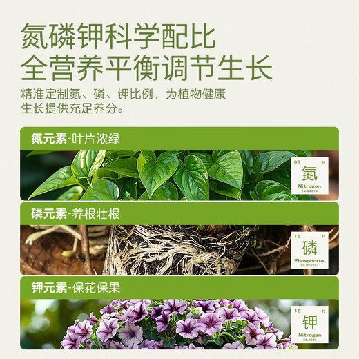 Stanley large element water-soluble fertilizer for flowers, high nitrogen, high phosphorus, high potassium nitrogen fertilizer, phosphate fertilizer and potassium fertilizer, general compound fertilizer 100g