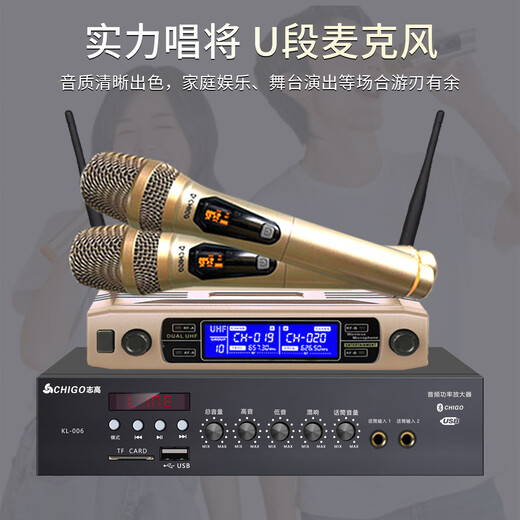 Chigo (Chigo) Chigo KTV-Kartenpaket-Lautsprecherverstärker All-in-One-Heimkino Heavy Bass Smart Audio Karaoke Vollständiger Set von Karaoke-TV-Audio-Paket KTV Microfon U Segment + 16-Zoll-Singmaschine