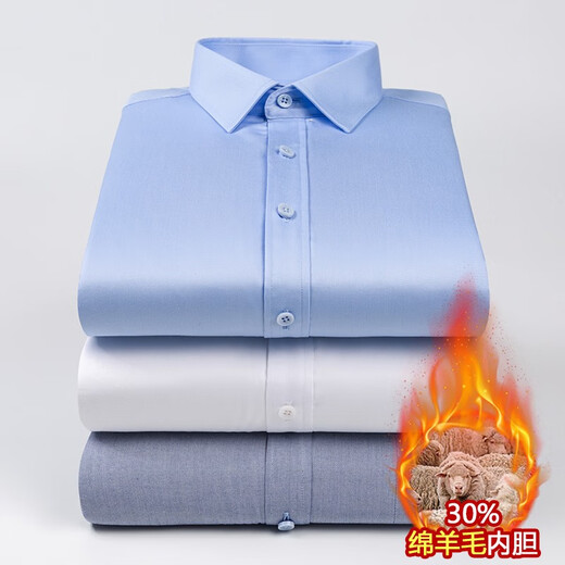 ROMON Шерстяная подкладка Жидкий аммиак Негладкая теплая рубашка Мужская зимняя утолщенная деловая повседневная однотонная профессиональная белая рубашка Белая YB7170 42