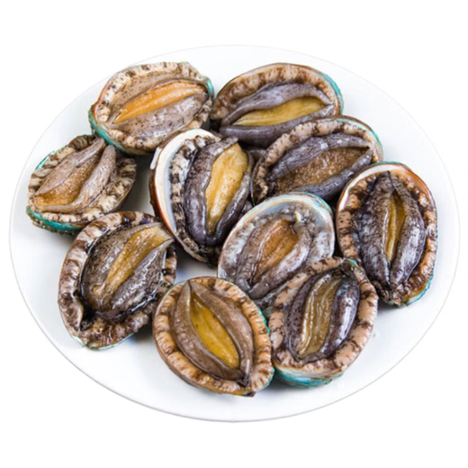 Twisted Abalone 1 fresh medium-sized abalone (14-16 heads/500g)