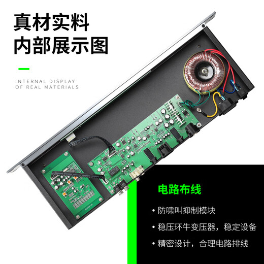 Ridiss AFS1100 intelligent automatic feedback suppressor KTV microphone stage conference microphone anti-howling one piece anti-howling