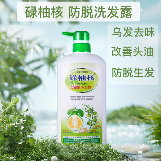 
Luyou Kera, Shampoo, Orchidontic Cypress Seed Anti-dandruff, Itchy Shampoo, Refreshing Oil Control, Fluffy Hair Care Shampoo 720ml, 720ml