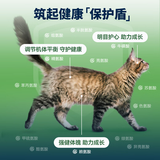Ziyi Peak (ZIWI) canned cat 85g*12 cans mixed flavor staple wet food for cats and kittens, universally imported from New Zealand