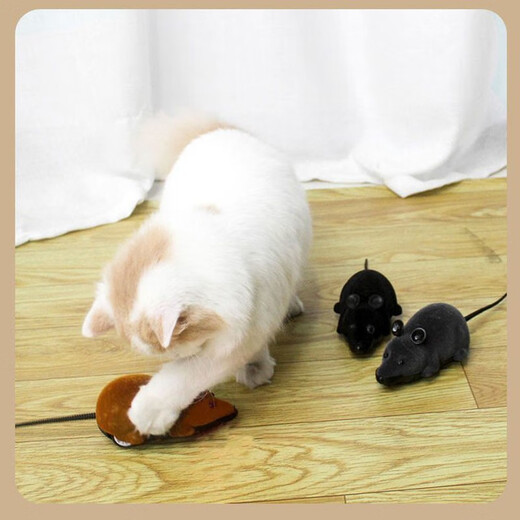 Herd Horse Cat Toy Fernbedienungssteuerung Maus Maus Wireless Funny Maus Fernbedienungssteuerung Maus Elektrische Maus strömt Katzenversorgungen Schwarze Maus