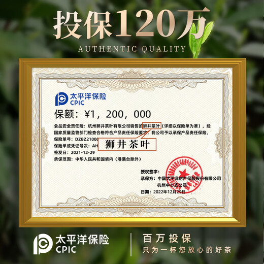 West Lake Shijing 2025 New Tea Mingqian Special West Lake Longjing Tea Gift Box 200g Regalos de té verde para ancianos Líder Padre