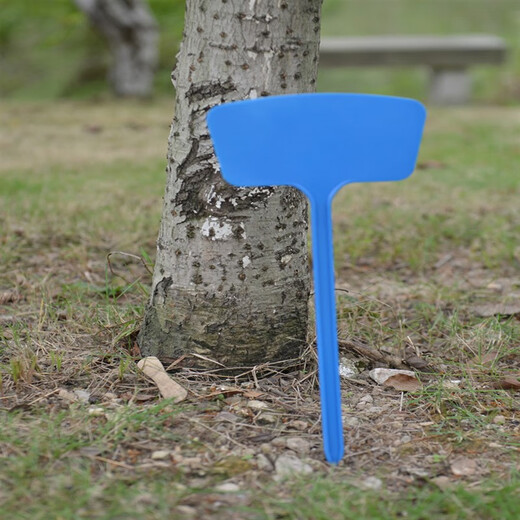 西普顿多种规格多种颜色塑料大号插地牌园艺标签园艺标识牌指示牌地插牌 大斜面50cm红色10个