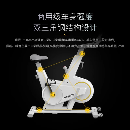 顽鹿迈金智能动感单车家用单车健身磁控静音运动减肥器材zwift游戏 MG70 黑色（G701迈金logo）