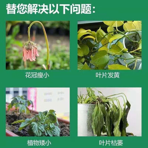 Yara Norway Yara Compound Fertilizer Organic Fertilizer Fruit Tree Flower Potted Seedlings Vegetable Plants Universal Comprehensive Nutritional Fertilizer 10Jin Jin equals 0.5kg