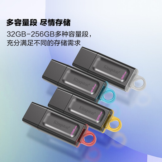 金士顿（Kingston）256GB USB3.2 Gen 1 U盘 DTX 大容量U盘 时尚设计 轻巧便携 学习办公投标电脑车载通用