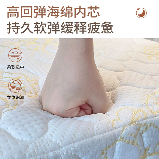 
FaaOSHA Japan imported quality folding bed household single bed hotel extra bed lunch nap artifact dormitory simple double folding sponge bed-width 60cm