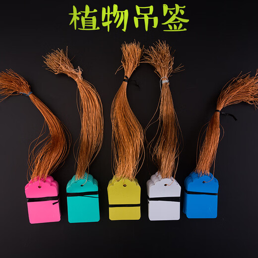 Shipton 100 pieces of hang tags, plant signs, tree signs, classification color cards, plastic waterproof, sun-resistant, non-fading PVC labels, 5*7cm powder, 100 pieces