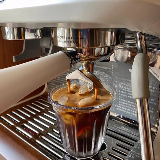 Baicui PE3899 Máquina de café italiano Comercial Máquina de molienda semiautomática Máquina de espuma de leche pequeña Bomba dual Dual horno
