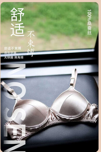 夏季100桑蚕丝无钢圈薄款双面真丝文胸透气无痕法式内衣女光面 黑色 XL 38-85A/B