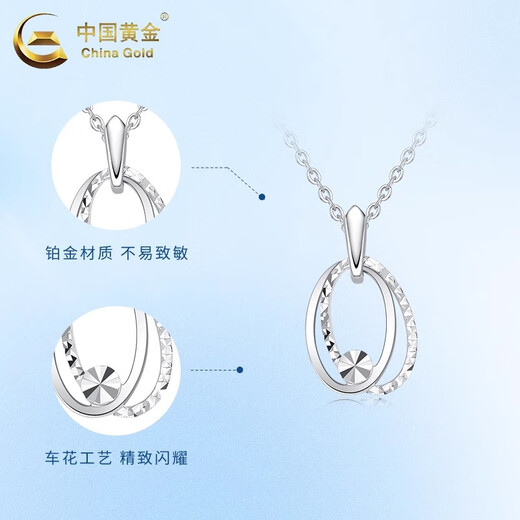 China Gold PT950 Platinum Double Oval Necklace Women's Pendant Clavicle Valentine's Day Birthday Gift for Girlfriend and Wife PT950 Platinum Double Oval Pendant About 2.1g Free Silver Chain