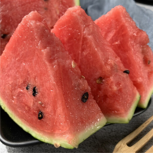 Dayu Lazy Man Watermelon Seed Seedlings Extra Large Suitable for Early Maturing Lazy People in the South 8424 Kirin Melon Meidu Seedless Fruits and Vegetables Rock Sugar Kirin Watermelon Seeds 20g Pack Crisp and Sweet