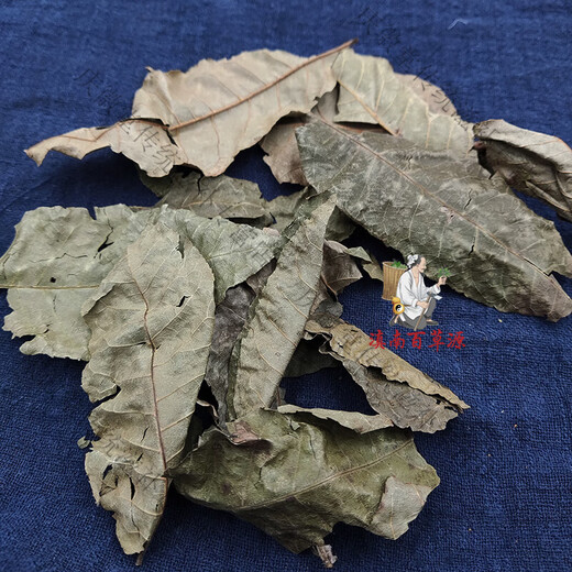 Mein Yutang Qingqian Liu Yunnan Chinesische Kräutermedizin 500G G Gold Willow Geld verlässt Qingqian Liu Originalblätter machen ohne Schwefel Tee. Natürlicher alter Baum Originalblätter ohne Extraktion 250g