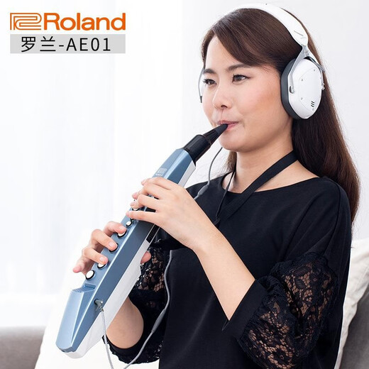 Xianhuaida Authentische japanische Marke Roland AE-01 Electric Hair Tube Old Man Elektrische Saxophon Elektronische Instrument Erhu AE0 Roland AE-01c Nationaler Version (Paket sechs)