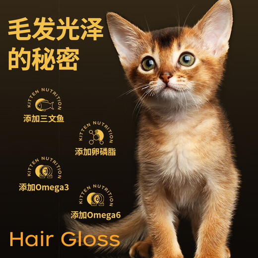 力狼力狼猫粮 幼猫奶糕宠物天然粮全价全猫种通用 鲜肉配方-幼猫专用2.5kg