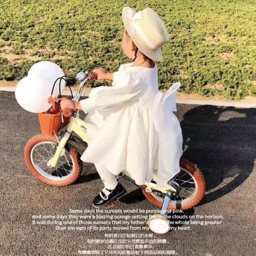 Nian Lulan Princess Dress Girls 2024 Spring and Autumn Korean Flower Girl White Dress One Year Old Dress Baby Girl Summer White Long Sleeves with Pearl Headband 90