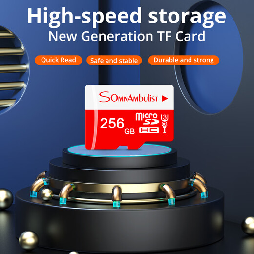SomnAmbulist speed memory card, dash recorder, surveillance camera, drone switch, mobile phone, tablet, high-speed TF memory card 2GB