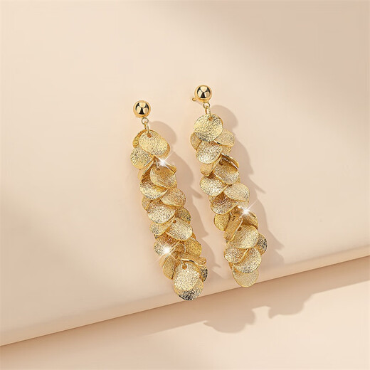 Qlady metal temperament niche tassel unique earrings for women 2025 new high-end silver earrings women's earrings earrings gift