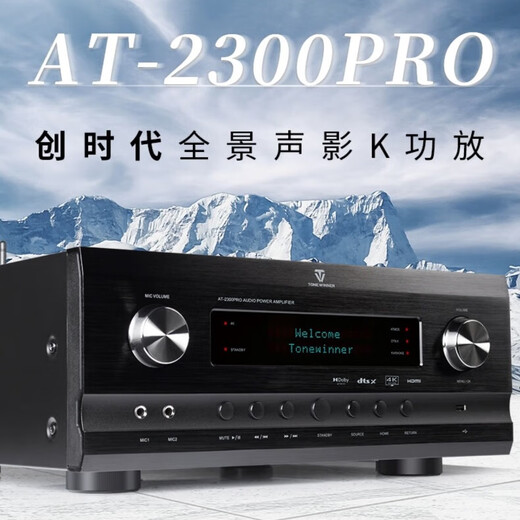 天逸（Winner）AT-2300PRO家用家庭影院全景声影K一体功放7.1声道KTV放大器多功能客厅功放机大功率放大器 AT-2300 PRO