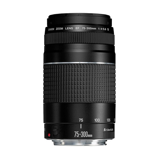 Canon EF 75-300mm f/4-5.6 III telephoto zoom lens for 80D 5D4