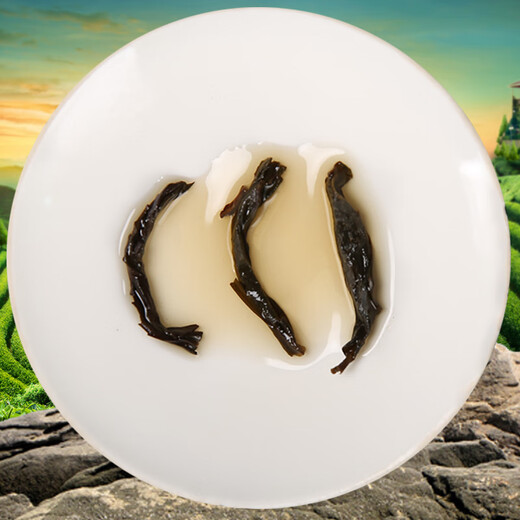 舞树新茶春茶大红袍茶叶武夷岩茶乌龙茶罐装礼盒批发散装 大红袍袋装试喝装50克