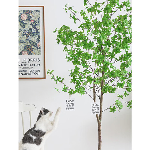 Flower e-flow simulation hanging bell tree horse drunken wood plant clothing store bionic fake green plant decoration potted indoor living room floor-standing ornaments 1.8m multi-pole + white cement basin
