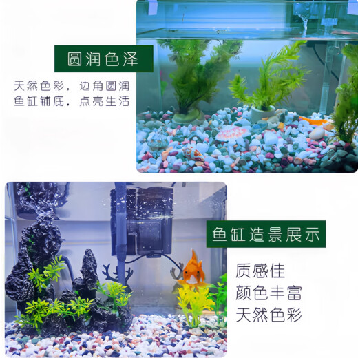 Pilot fish tank bottom sand landscaping stone multicolored stone stream stone aquarium turtle tank multi-succulent decoration colorful raindrops and goose eggs