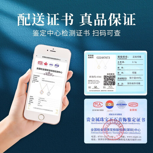 Fanzhe Poetry Möbius Ring Pendant Necklace for Women 2025 New Light Luxury Niche Gift for Girlfriend and Wife Birthday Gift for Girls Shipped from Qicang Platinum/Feather You Accompany Möbius Necklace