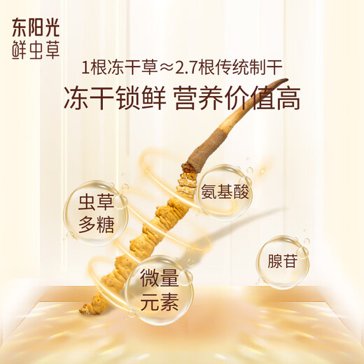 东阳光有机冬虫夏草3-4根/克  新干虫草滋补礼盒 虫草补品送父母长辈 10克【中国红经典礼盒】