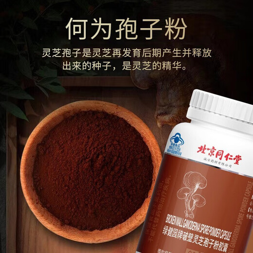 Beijing Tong Ren Tang Ganoderma-Sporenpulver, Kapseln, Ganoderma-Sporenpulver, gebrochenes Ganoderma-Sporenpulver, Tong Ren Tang Ganoderma-Sporenpulver, kann mit Changbai Mountain Ganoderma-Sporenöl 1 Flasche verwendet werden