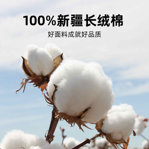 恒源祥（HYX）男士衬衫长袖纯棉免烫男高级感正装2025新款纯色白衬衣 长袖L05-6218兰色 38 38 [体重100斤-125斤]