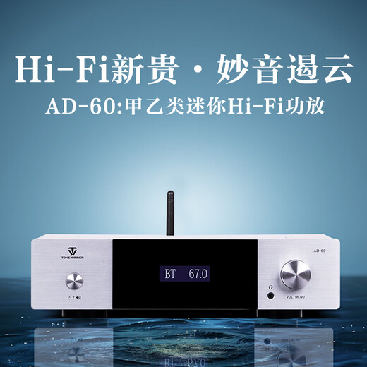 Gewinner AD-60 Klasse A und B Mini Mini HiFi-Verstärker mit Bluetooth 5.0 Home Theatre Multifunktionsverstärker Wireless Digital Broadcasting-Verstärker Audio-Set Ad-60 (Silber)