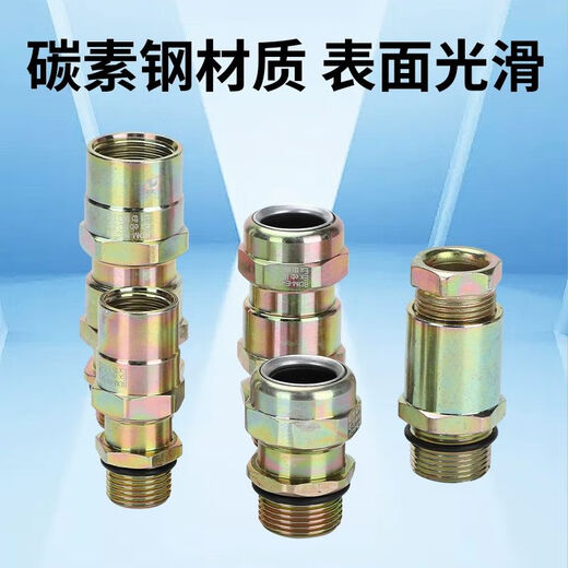承琉金属Q235碳钢EX铠装接管式双密封防爆格兰头填料函密封接头DN1520 G1/2DN15915