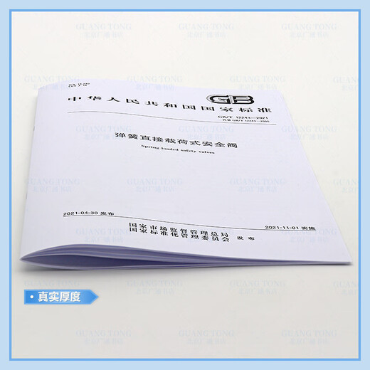 正版现货 GB/T 12243-2021 弹簧直接载荷式安全阀 代替GB/T 12243-2005 中国标准出版社 【纸质版】