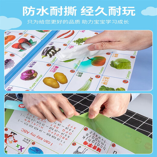 幼儿童早教机点读书小孩笔中英文画本电子书学习宝宝3岁6玩具 揭秘套餐23页新款点读本+十万个