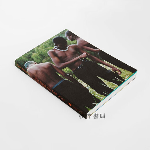 Tyler Mitchell：I Can Make You Feel Good / 泰勒·米切尔：我能让你感觉良好