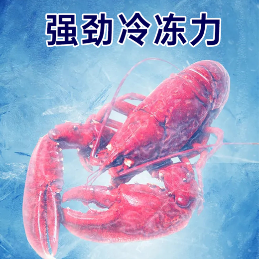 北极川钛灰商用大容量卧式冰柜低温冷冻柜超市食品冷藏柜节能电子温控商用冷柜雪糕冰箱展示柜 长1.45米合金内胆-智能单温688钛灰