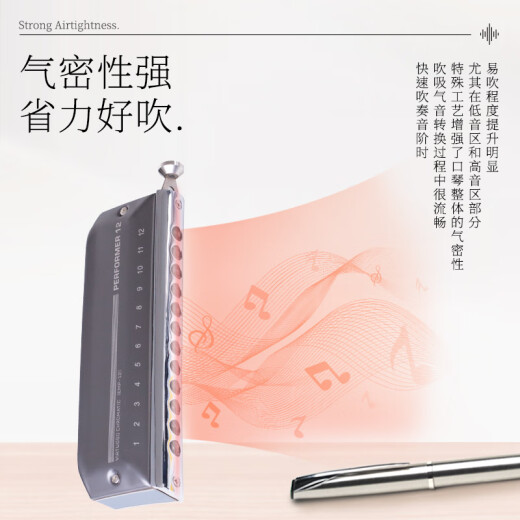 东方鼎（EAST TOP）EASTTOP演奏者12孔48音半音阶口琴铝格灰色EMP-12