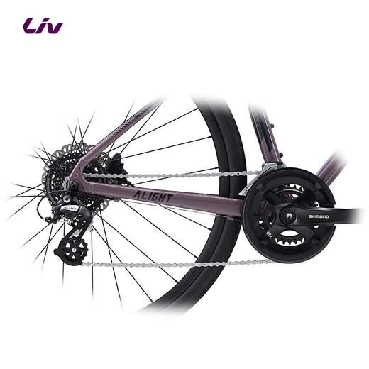 LIV ALIGHT 2 DD DIS DIS MANEJE FUBLERO DE MANURA DE 16 VELACIONES Bike de carretera Ligera Púrpura Gray 700C420 mm S Recomendado 158-169 cm